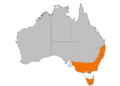 Flamerobin dist gnangarra