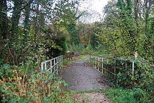 Footbridge carrying the 1066 Country Walk over Powdermill stream into Fore Wood - geograph.org.uk - 1577141