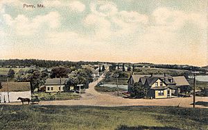 General View of Perry, ME
