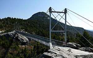 Grandfather Mountain Bridge-27527