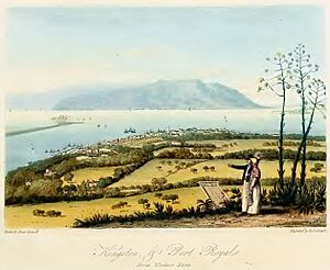 Hakewill, A Picturesque Tour of the Island of Jamaica, Plate 03