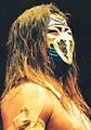 Hayabusa FMW