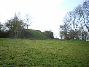 Hen Domen castle mound - geograph.org.uk - 1088002.jpg