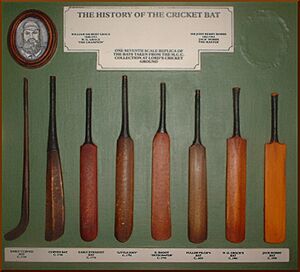 Historical cricket bat art