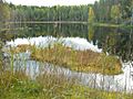 Isojärvi National Park