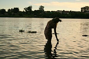 Ivan Kupala Day in Serebryany bor 2017 50