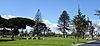 Ivy Lawn Cemetery Historic District (Ventura Historic District).jpg