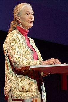 Jane Goodall at TEDGlobal 2007-cropped