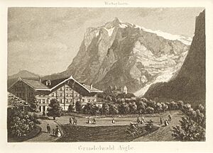 Johann Heinrich Müller, 1825-1894 H17 Grindelwald Aigle