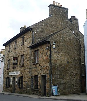 Llwyngwair Arms, Newport, Pembrokeshire (Tony Holkham)