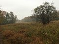 Marshlands Conservancy Meadow in Autumn