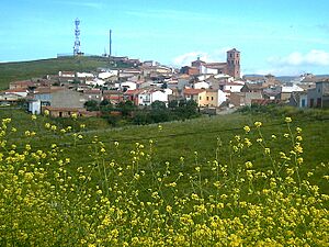 MestanzaVista2