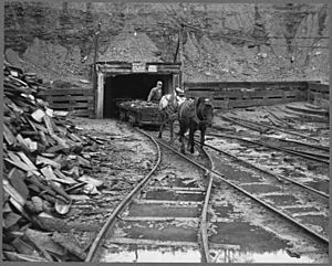 Mine portal with ponies. S. C. Streams Black Diamond Mine, Creekside, Indiana County, Pennsylvania. - NARA - 541530