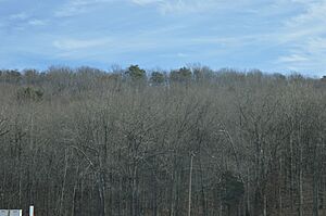 Mount Athos near Lynchburg