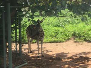 National Children's Park, Abuja 4