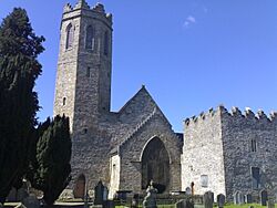 Old Saint Marys, Clonmel