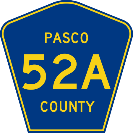 Pasco County Road 52A FL