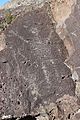 Picture Rock Pass Petroglyphs 02
