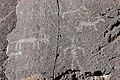 Picture Rock Pass Petroglyphs 03