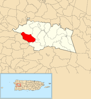 Location of Río Cañas within the municipality of Las Marías shown in red