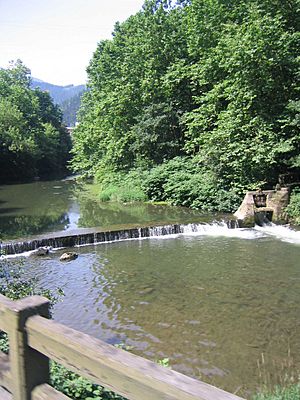 Río Urola