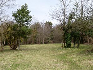 Rectory Meadow 9