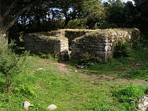 Remains of Madron Well Chapel - geograph.org.uk - 230766