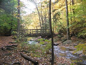 Ricketts Glen State Park Ozone Falls 5
