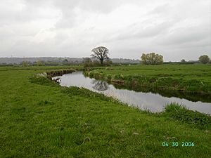 River Axe Devon