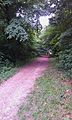 Roman Road by Wandlebury