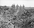 Royal Air Force- Air Defence of Great Britain (adgb), 1943-1944. CH12537