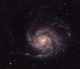 SN2023ixf in Messier 101
