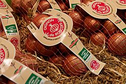 Salon de l'agriculture 2011 - oignons rosés de Roscoff - 01
