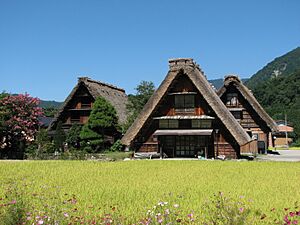 Shirakawa-go houses 1