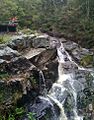 Simpson Falls, Mount Coot-tha Forest