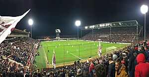 Stadionul Dr. Constantin Rădulescu