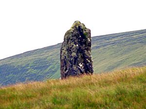 Standing Stone - geograph.org.uk - 494606