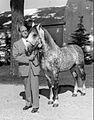 Tempel Smith and Lipizzan stallion 1958