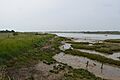 The Cliff, Burnham-on-Crouch 4