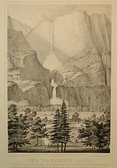 The High Falls Lithograph