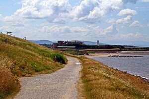 The pathway along Mockbeggar Wharf, Leasowe (geograph 3786719)