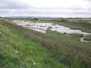 Tidal flood overspill pond, River Yeo (geograph 4634453)