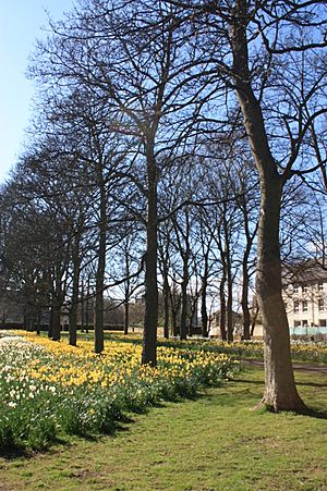 Victoria Park, Edinburgh in spring
