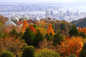 121208 Nunobiki Herb Garden Kobe Hyogo pref Japan01s3