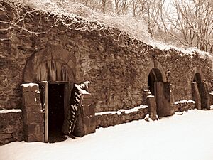 1800-wine-cellar-winter-sepia ForestWander