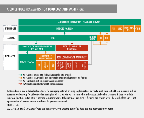 A conceptual framework for Food Loss and Waste (FLW)
