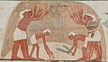 Ancient Egyptian Winnowers