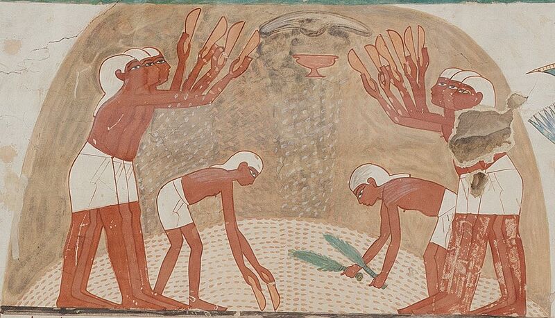 Ancient Egyptian Winnowers