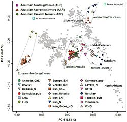 Ancient West-Eurasian PCA