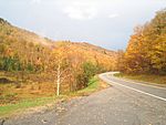 Autumn colors along the road